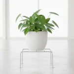 Plant Stand, designed for both indoor and outdoor use. Made from premium anti-rust stainless steel, this heavy-duty plant stand offers superior strength and long-lasting durability compared to ordinary metal stands.