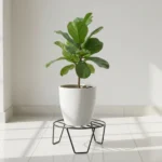 stainless steel plant stand with wheels heavy duty metal pot holder rust proof garden trolley lockable caster wheels indoor outdoor balcony planter rack movable flower stand gamla rack moisture resistant modern utility shelf rolling base caddy