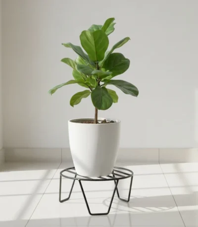 stainless steel plant stand with wheels heavy duty metal pot holder rust proof garden trolley lockable caster wheels indoor outdoor balcony planter rack movable flower stand gamla rack moisture resistant modern utility shelf rolling base caddy