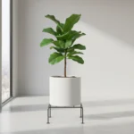 plant stand heavy duty anti rust flower pot stand for indoor living room balcony outdoor home decor modern metal plant stand for plants indoor outdoor balcony plants garden decor