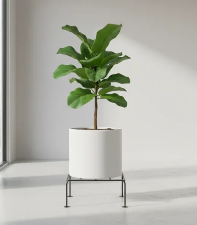 plant stand heavy duty anti rust flower pot stand for indoor living room balcony outdoor home decor modern metal plant stand for plants indoor outdoor balcony plants garden decor