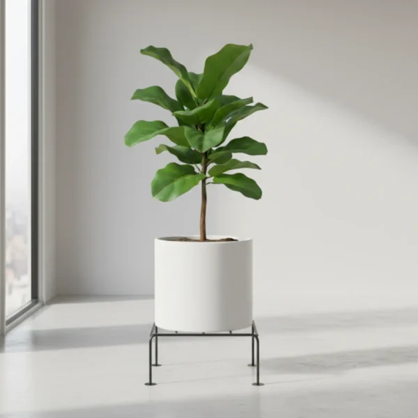 plant stand heavy duty anti rust flower pot stand for indoor living room balcony outdoor home decor modern metal plant stand for plants indoor outdoor balcony plants garden decor