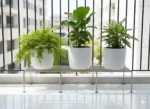 Plant Stand, designed for both indoor and outdoor use. Made from premium anti-rust stainless steel, this heavy-duty plant stand offers superior strength and long-lasting durability compared to ordinary metal stands.