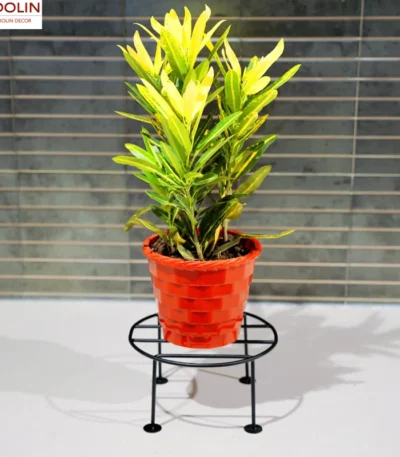Stainless Steel Plant Stand Set