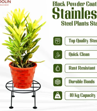 a plant in a pot