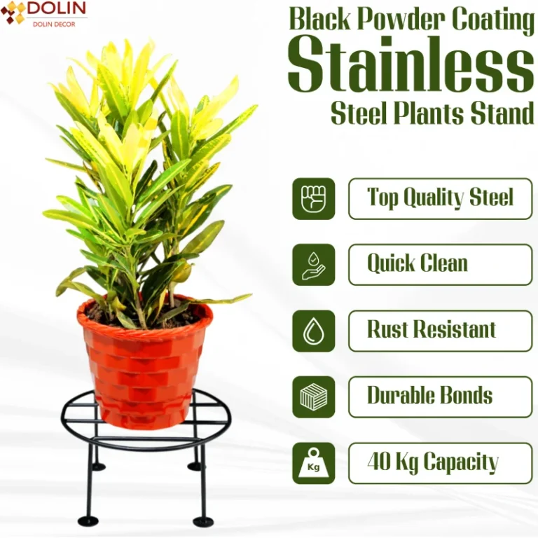 a plant in a pot