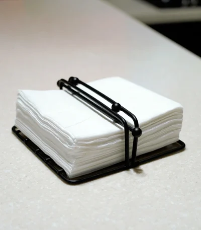 Stylish Napkin Stand