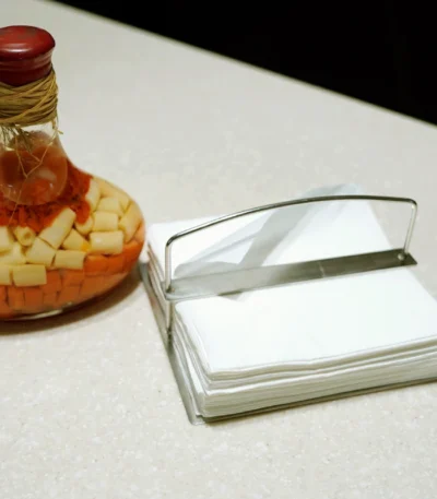 Stainless Steel Napkin Holder