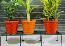 Stainless Steel Plant Stands