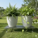 Heavy-duty stainless steel plant stand by Dolin Decor with 160kg load capacity, anti-rust rectangular design, and premium silver finish. Ideal indoor & outdoor plant stand for balcony, garden, patio, and living room. Perfect for heavy flower pots, planters, and gamla stands, with floor-protective end caps for scratch-free use.